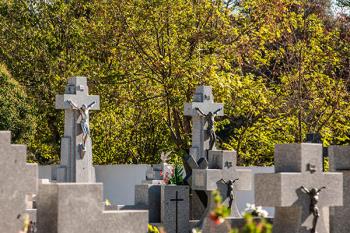 El Consistorio roceño ha programado una serie de medidas y actos con motivo de la festividad