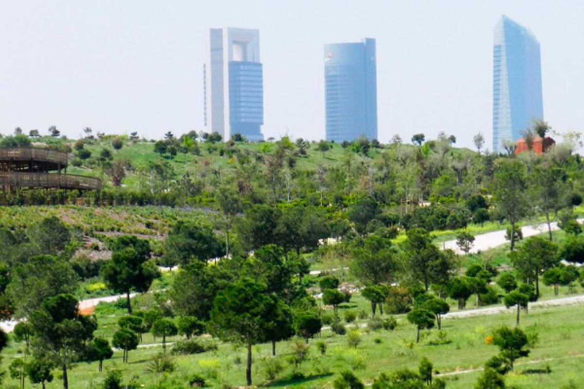 Con esta ejecución se construirá el mayor pulmón urbano de Madrid
