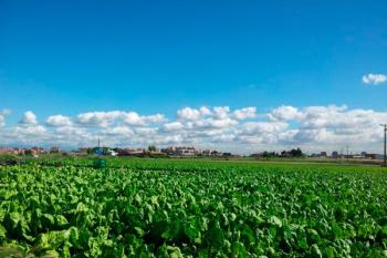 Una actividad pensada para aquellas personas que estén interesadas en iniciar sus proyectos profesionales en el sector hortofrutícola dentro del Parque Agrario