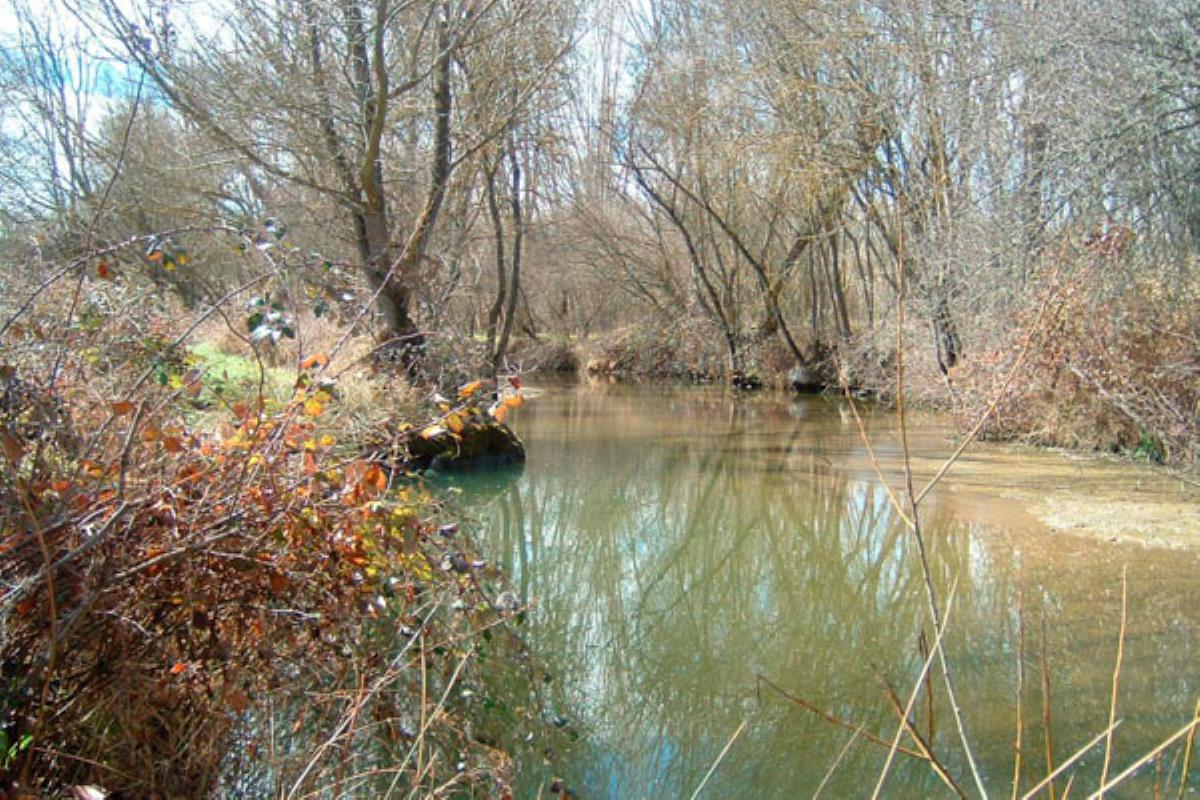Entre los objetivos se contempla el impulso del conocimiento del Parque Regional del Río Guadarrama