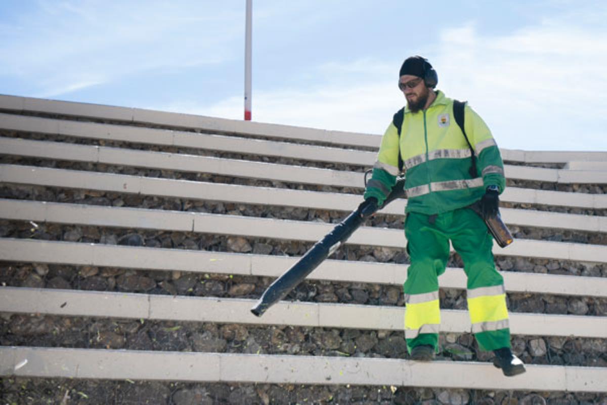 La campaña, extensible hasta otoño, busca resolver el problema de las raíces que inundan la calzada y aceras