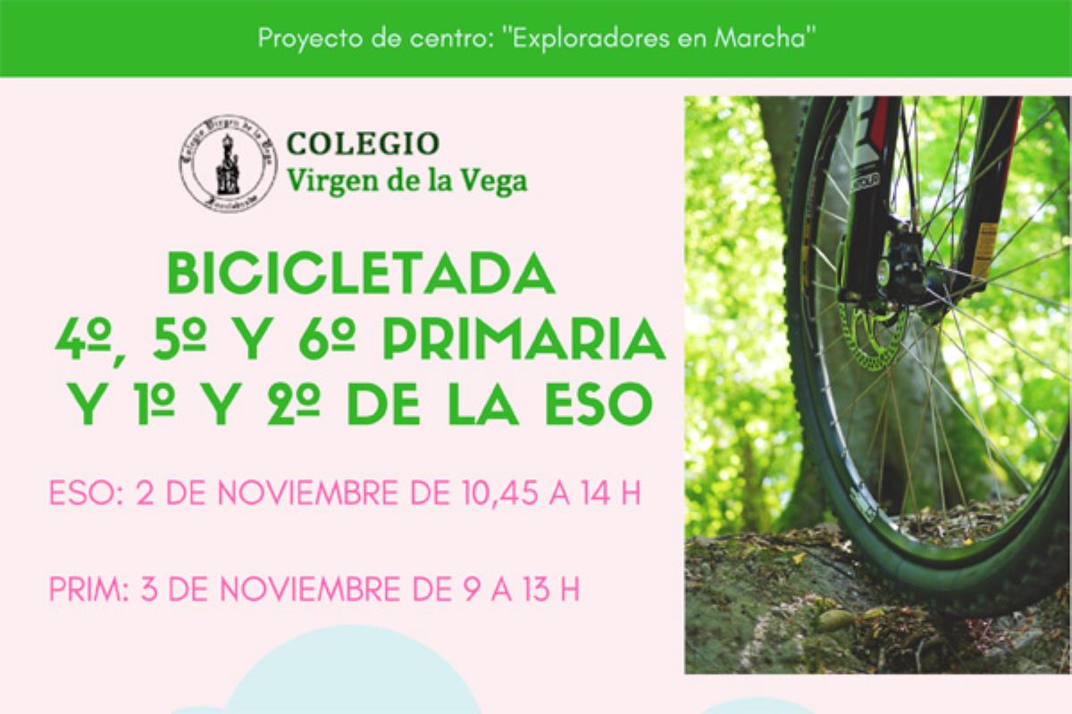 Más de 250 alumnos del Colegio Virgen de la Vega participarán en esta actividad