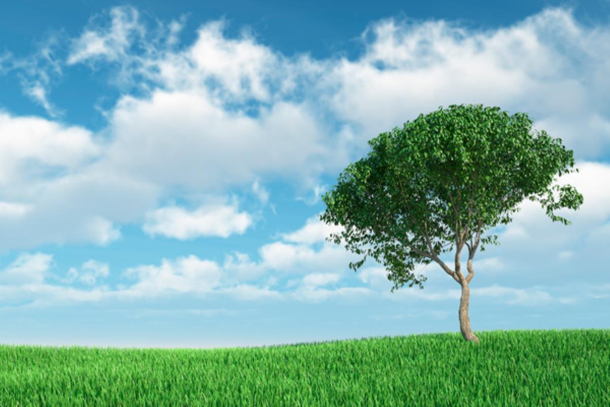 La campaña ‘Dando un respiro’ está impulsada por la FEMP a través de la Red de Ciudades por el Clima a la que pertenece Fuenlabrada