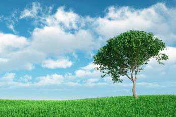 La campaña ‘Dando un respiro’ está impulsada por la FEMP a través de la Red de Ciudades por el Clima a la que pertenece Fuenlabrada