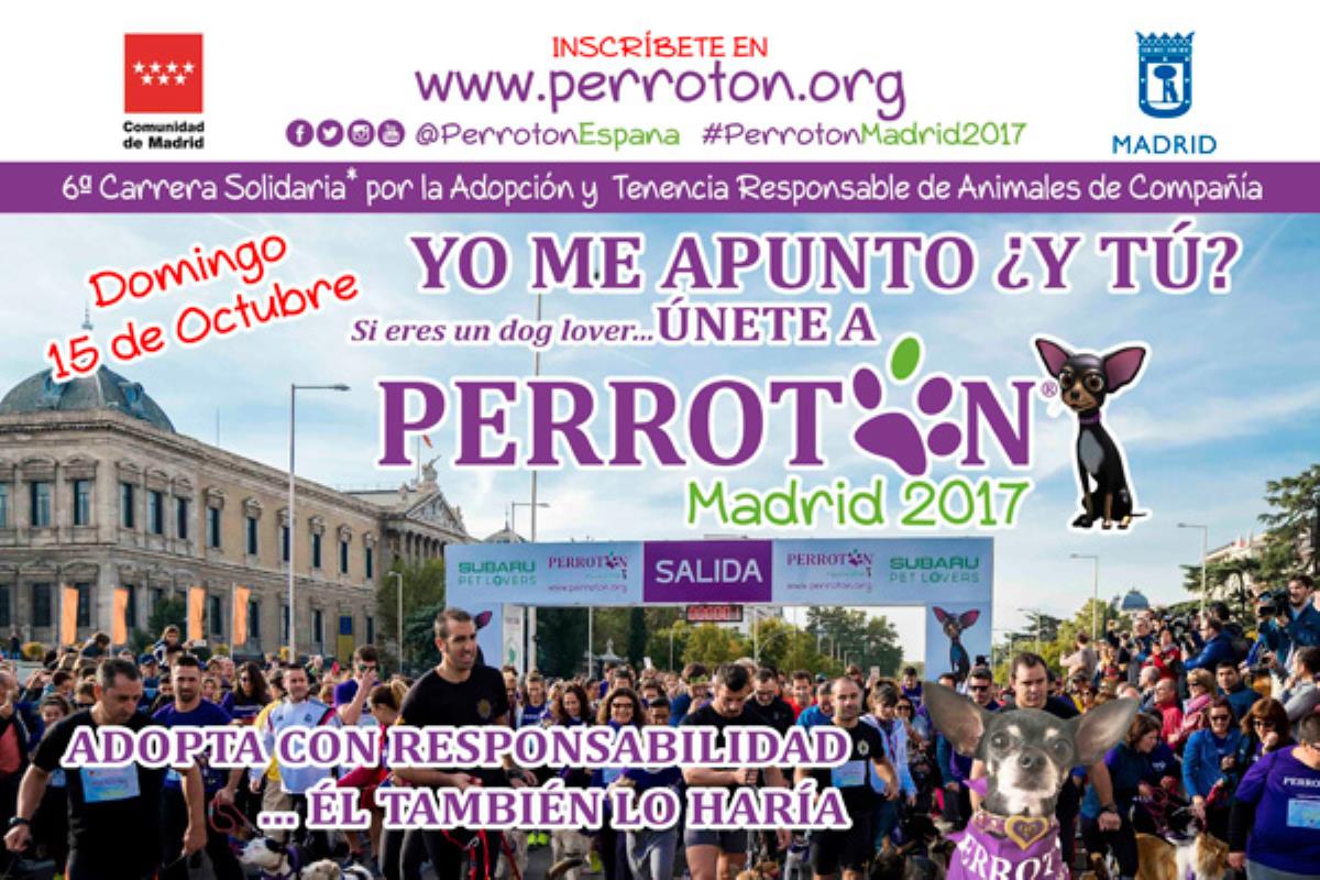 Tienes una cita con el deporte y la adopción el 15 de octubre a las 10:00 horas