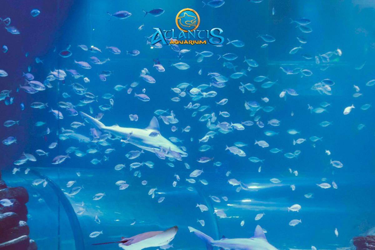 El establecimiento se suma a las recomendaciones y suspende su calendario de apertura