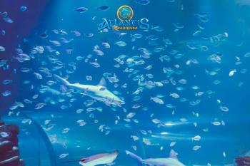 El establecimiento se suma a las recomendaciones y suspende su calendario de apertura