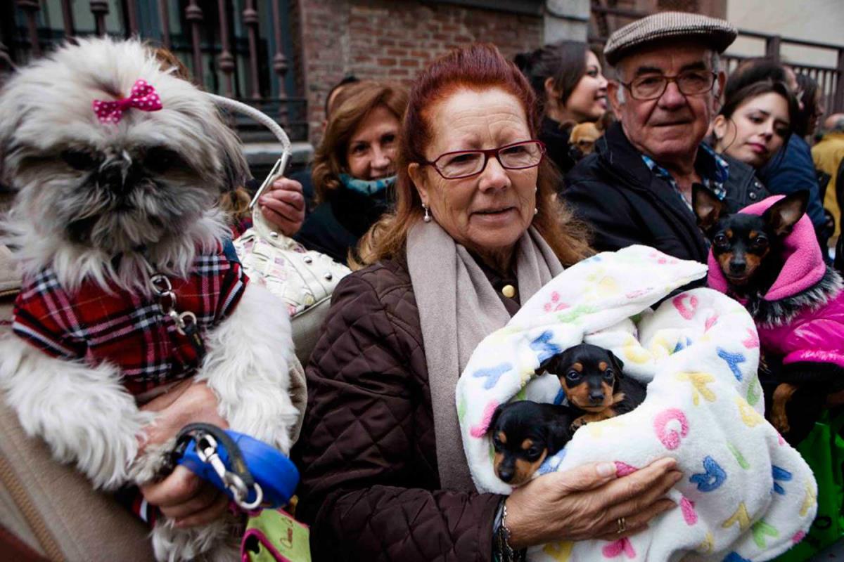 El próximo sábado 18 de enero, a las 13:00 horas, los vecinos podrán acercar a sus animales al patio de la iglesia