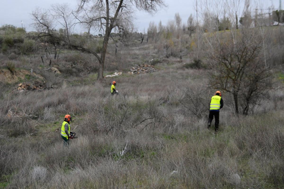 Estos trabajos se desarrollarán durante las próximas dos semanas