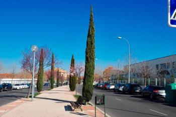 Las obras para la renovación de las luminarias en la avenida arrancan a principios de marzo
