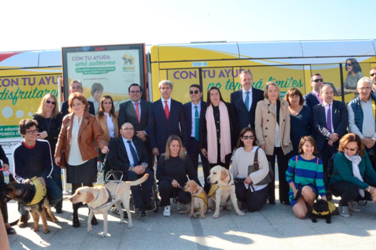 Está rotulado con imágenes de perros guía para concienciar sobre los derechos de los usuarios ciegos