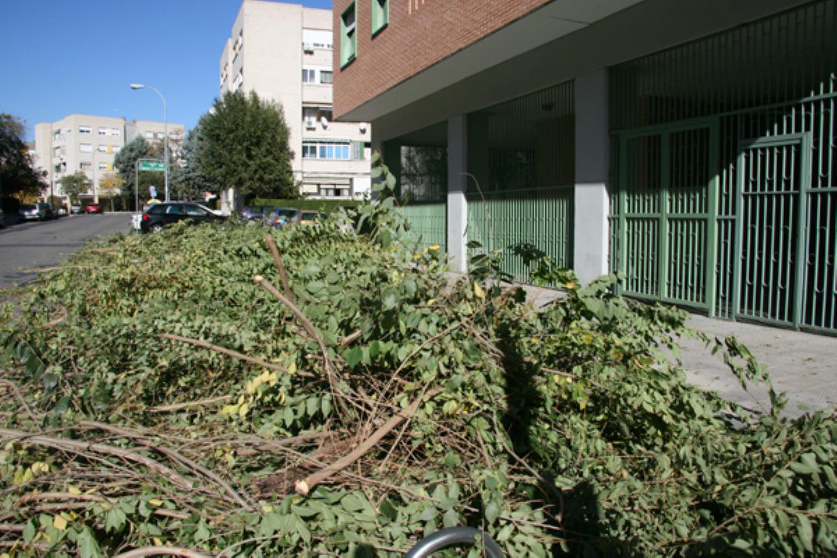 Ya están disponibles los servicios de recogida de poda y residuos orgánicos en Coslada
