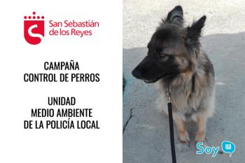 La Policía Local ha iniciado una campaña para vigilar que los dueños de perros cumplen la normativa