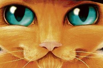 El gato más conocido de todos los tiempos llega al auditorio villaodonense, el 7 de abril 