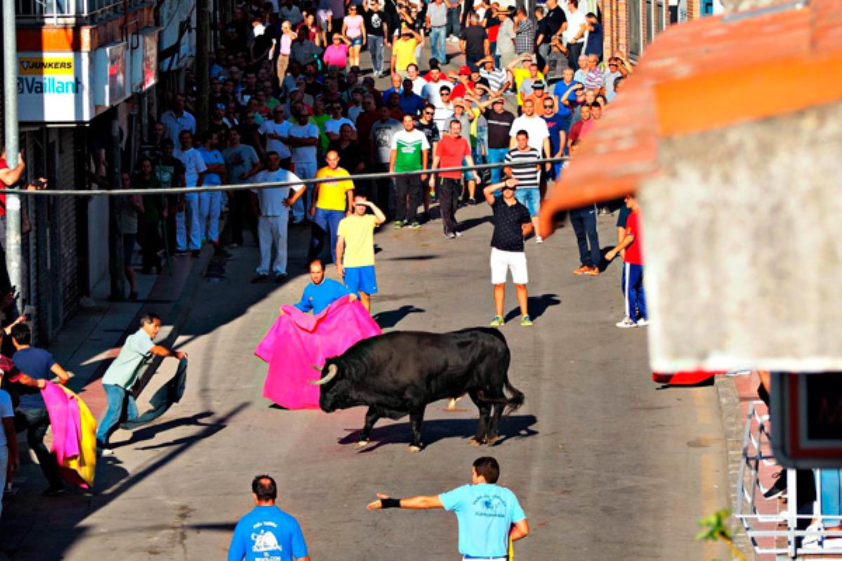 Alberto Pérez Boix nos remite su artículo de opinión sobre el uso de los toros en las fiestas de Fuenlabrada