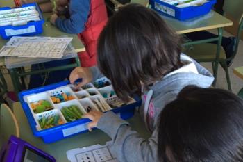 Cerca de un millar de estudiantes participan en esta iniciativa