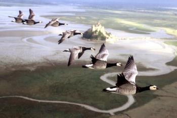 El Centro Sociocultural Norte-Universidad abre un nuevo ciclo con la proyección de 