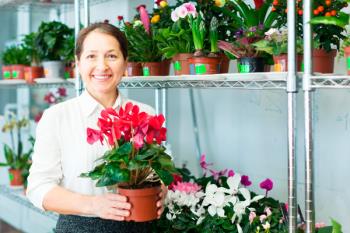 El grupo denuncia la falta de control y reclama sanciones para vendedores ambulantes ilegales 