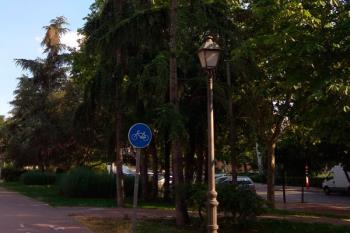 Desde la coordinación local del partido naranja han destacado el peligro de la plaga, especialmente por el tamaño de los nidos