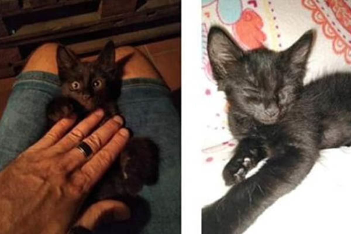 Desapareció el viernes por la tarde en Fuenlabrada