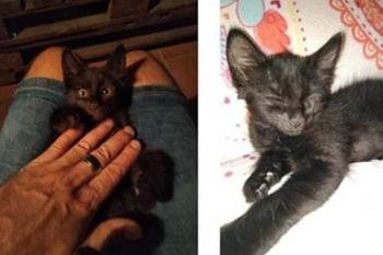 Desapareció el viernes por la tarde en Fuenlabrada