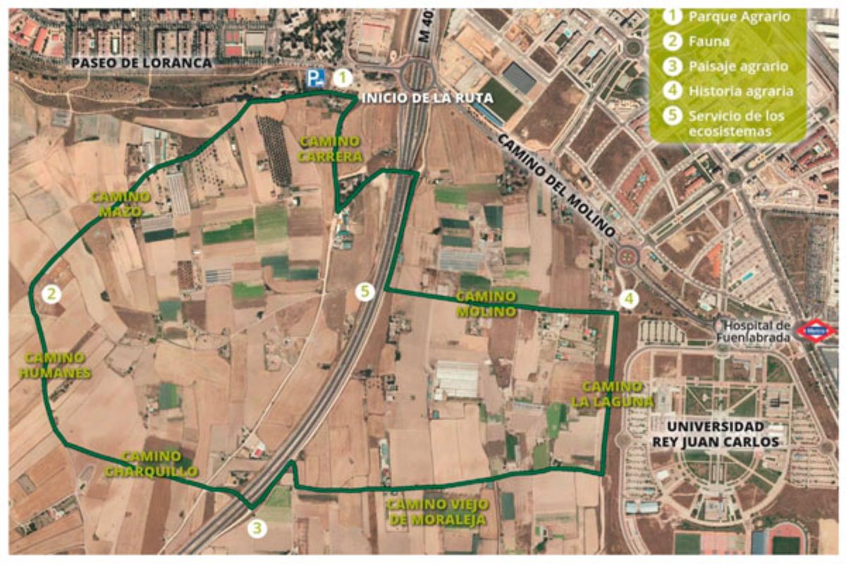 MÁS DE 400 ESCOLARES DEL COLEGIO VIRGEN DE LA VEGA PARTICIPARÁN ESTA SEMANA