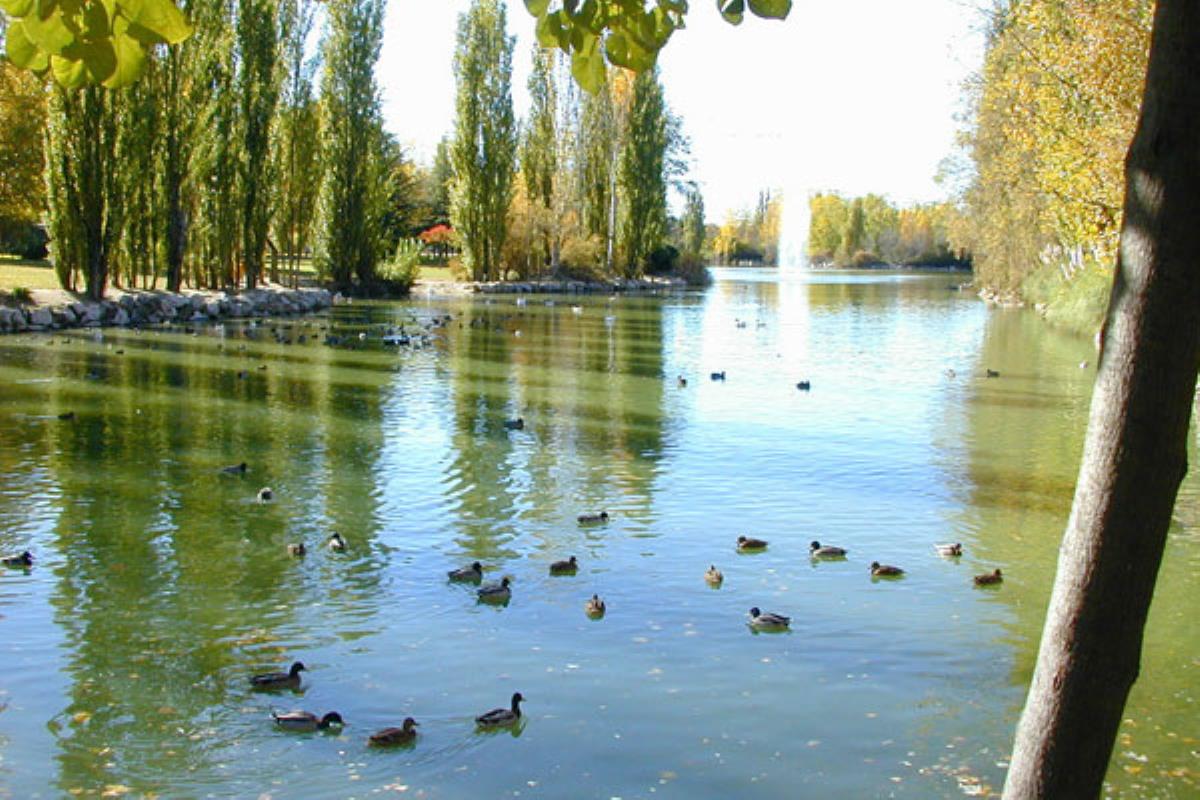 La instalación constará de nuevos puntos de luz en este espacio