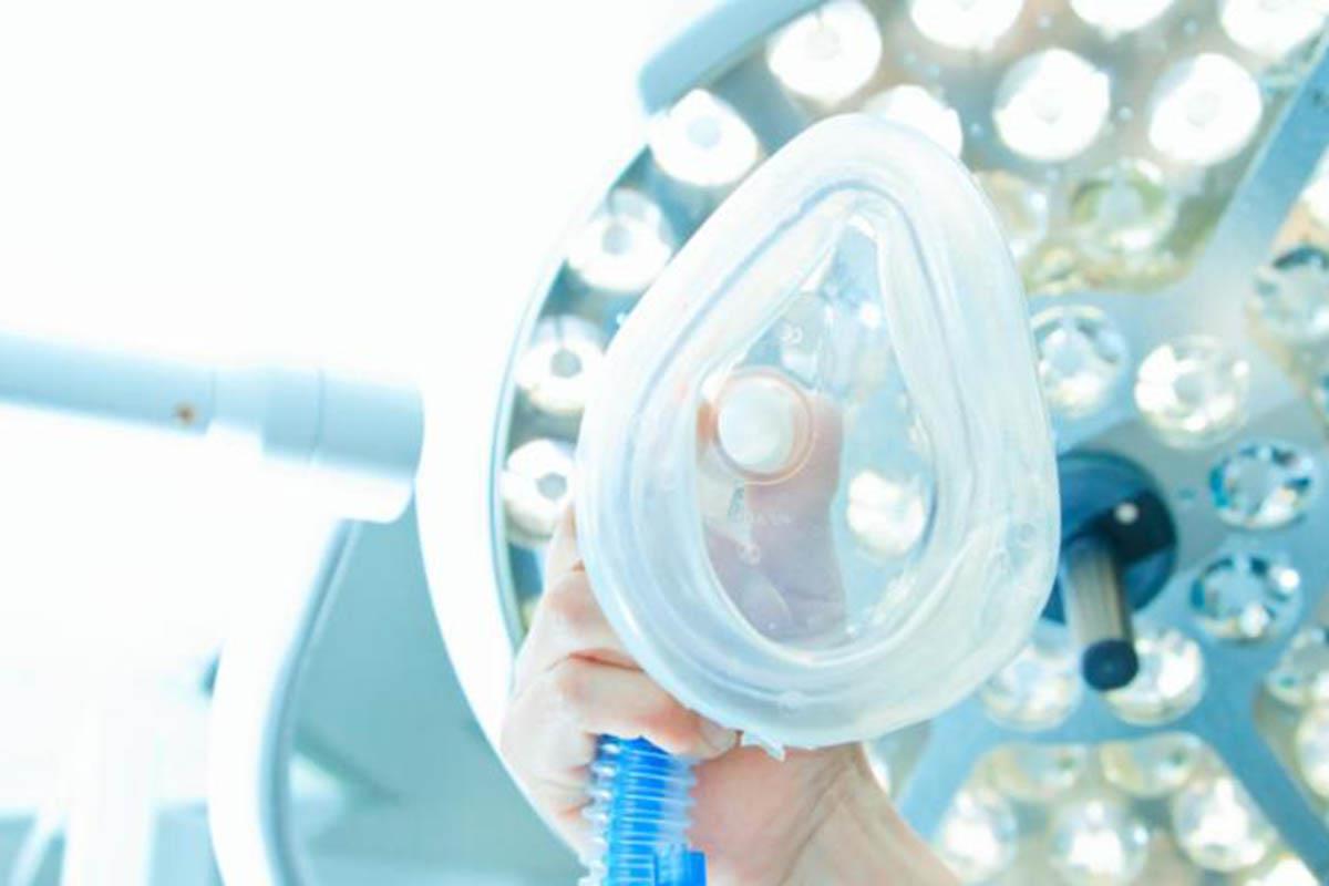 La decisión se ha tomado en el Consejo de Gobierno celebrado este 25 de marzo