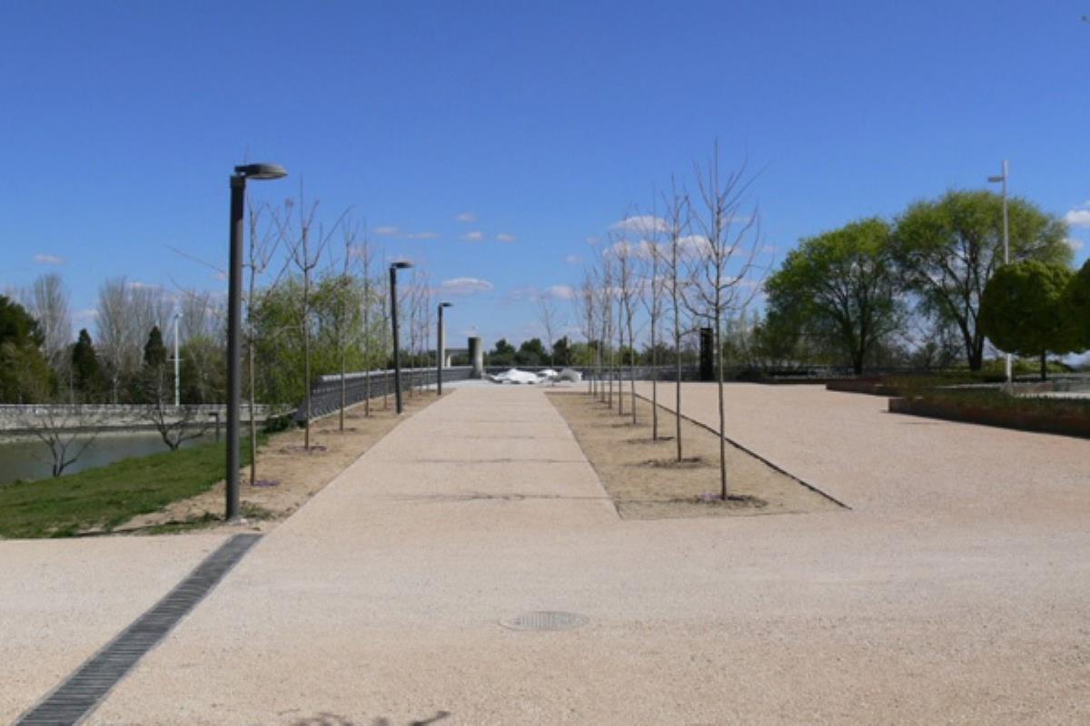 El Programa de Actividades Ambientales incluye propuestas muy divertidas para conocer y respetar el medio ambiente