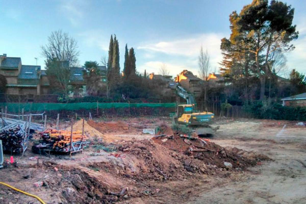 Alegan que la tala de 55 árboles supone un incumplimiento de la Ley de Protección del Arbolado Urbano