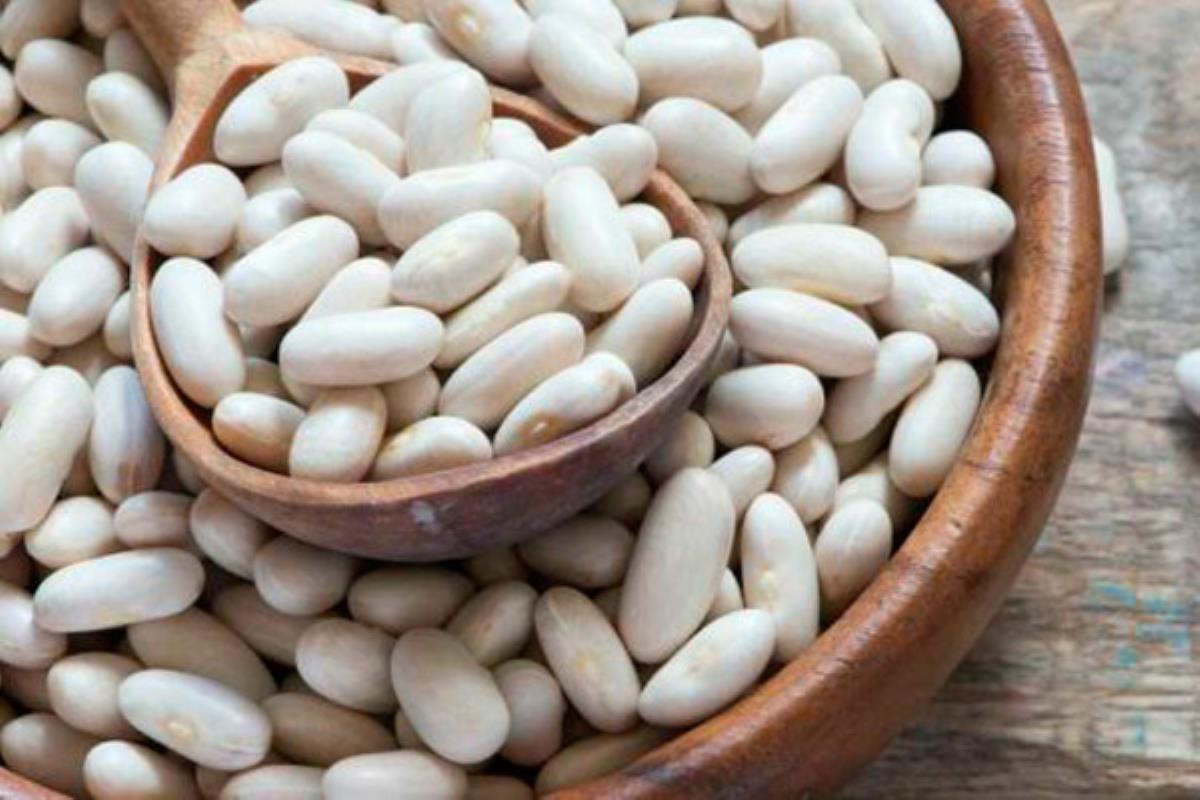 La formación recogerá las donaciones hasta el día 20 de diciembre en la calle Empecinado, 8