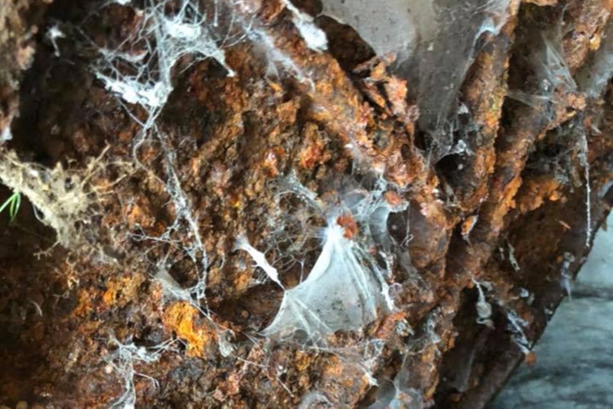 Los vecinos pagan un suplemento de alcantarillado en el recibo del agua