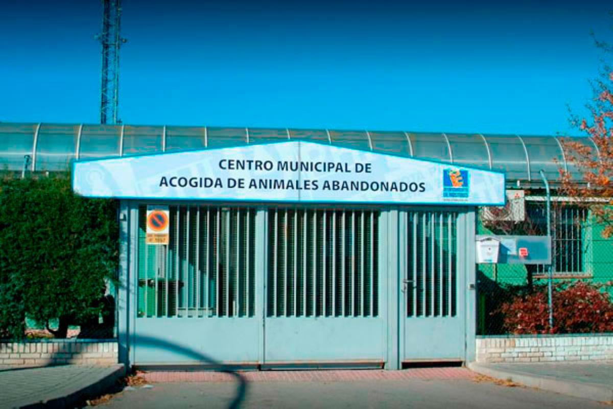 Emplazado en el Polígono de Las Nieves, cuadruplicará la extensión del actual