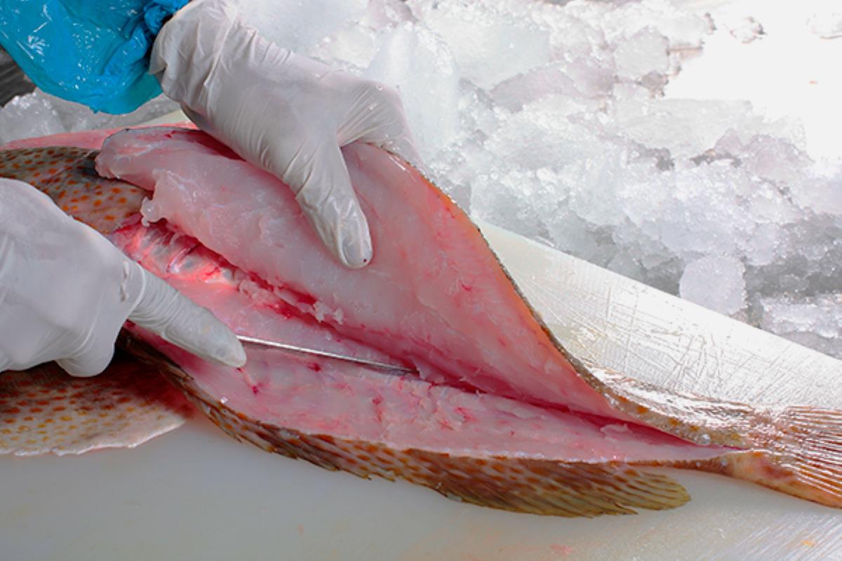AESAN actualiza su guía de consumo e incluye los pescados más seguros para evitar intoxicaciones por metales pesados