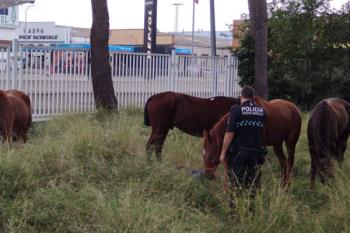 La Policía Local de Fuenlabrada se encargó de despejar la zona