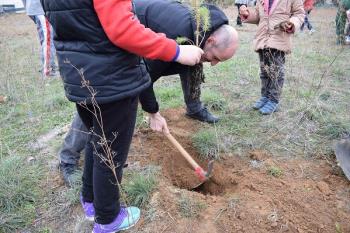 El Club de Baloncesto Juan de Austria colabora en una plantación en el Bosque del Quijote