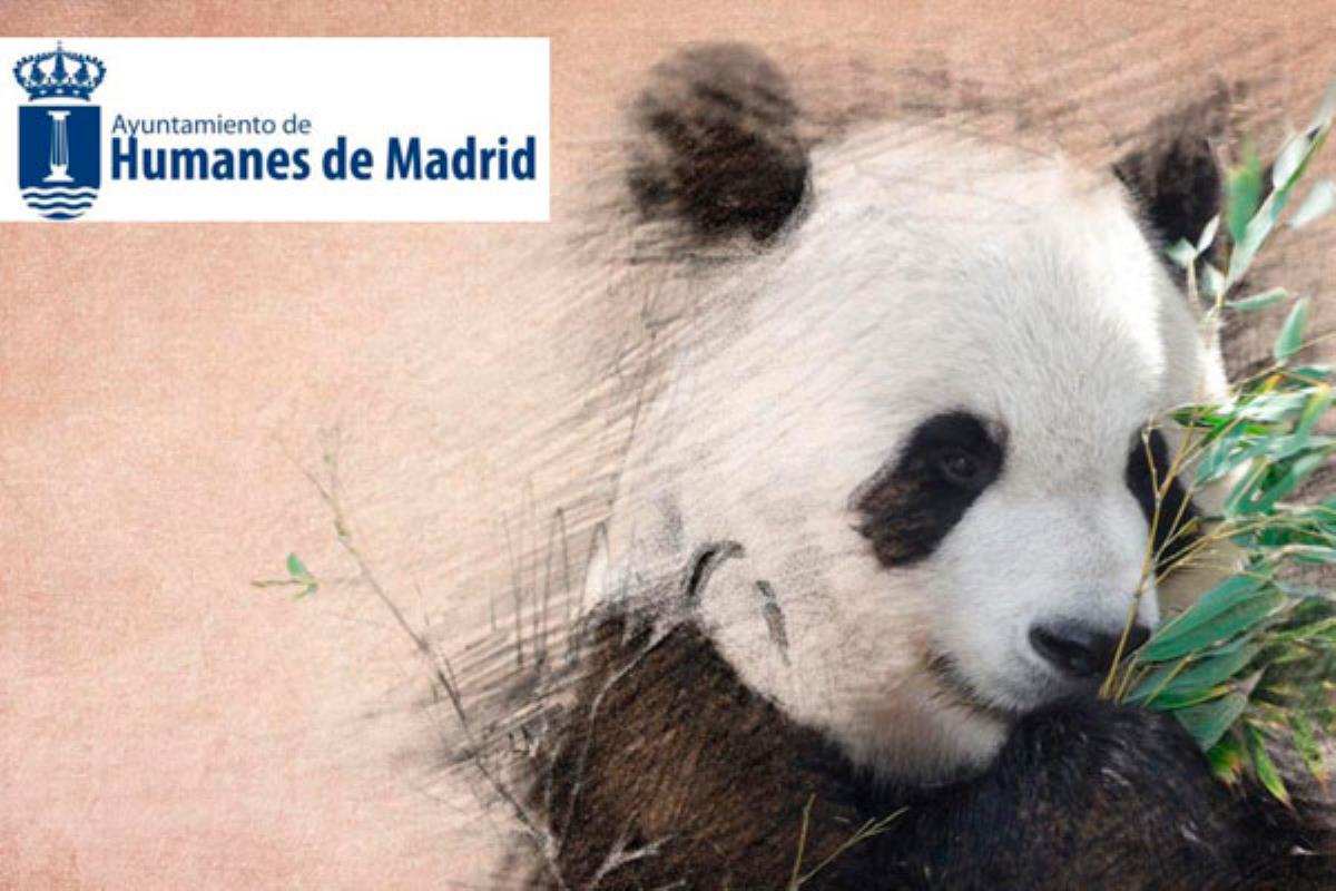 Los vecinos de Humanes de Madrid obtendrán descuentos en la entrada