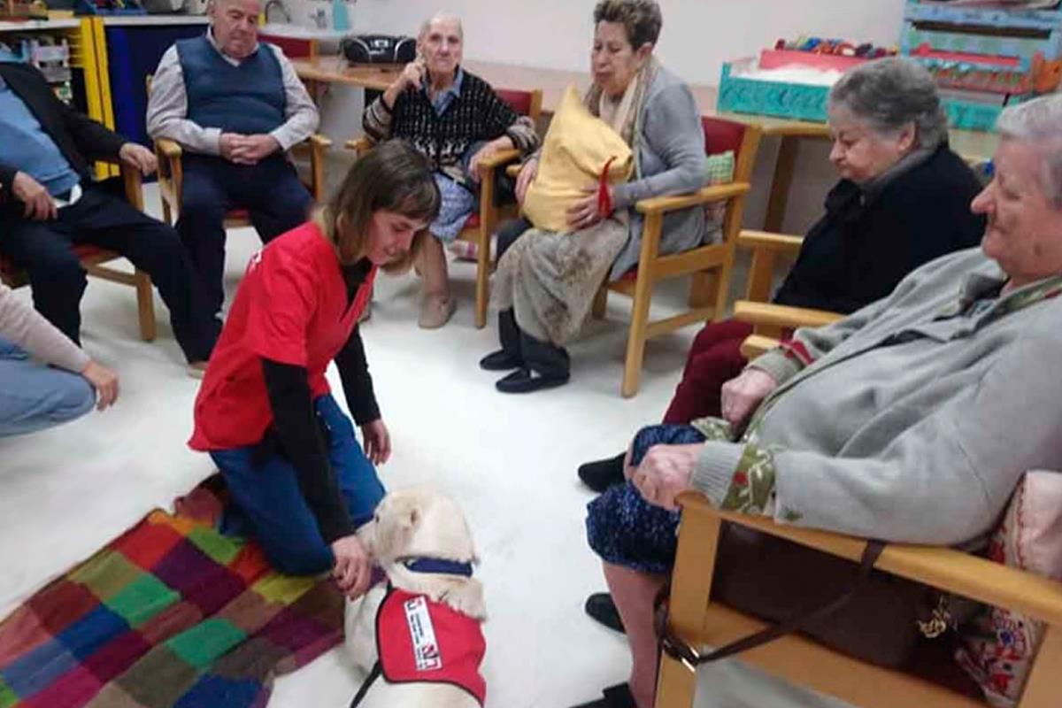 La Universidad Rey Juan Carlos pone en marcha un estudio en varias residencias de mayores de la Comunidad de Madrid