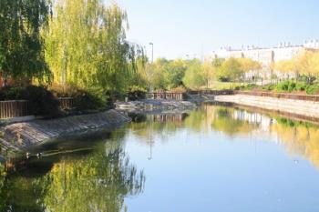 Lee toda la noticia 'Disfruta del 'Día de la tortilla' en el Parque de los Derechos Humanos'