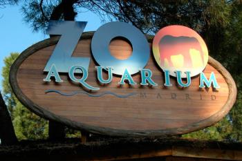 Los días 3 y 4 de septiembre la entrada al Zoo Acuarium de Madrid costará 16€ 