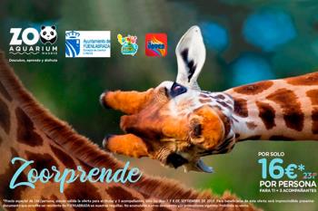 Justo antes del inicio de las clases, podremos disfrutar de un descuento único por ser de Fuenla