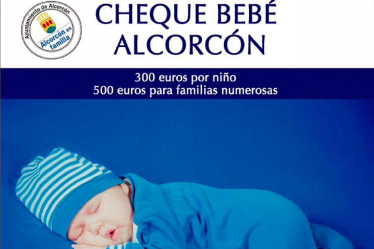 La formación popular ha criticado la decisión del Ejecutivo local de eliminar la citada ayuda social