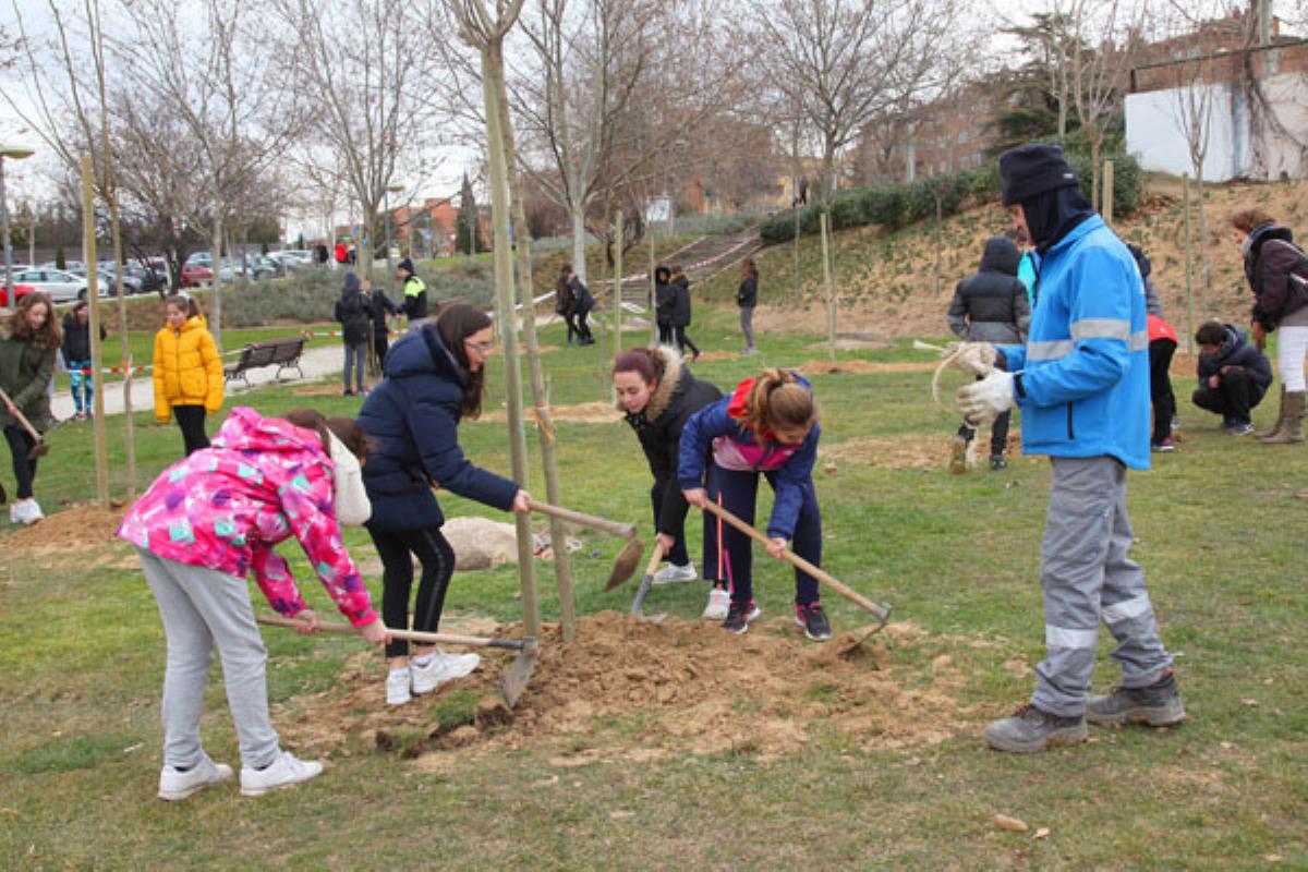 El Ayuntamiento de Alcobendas desarrolla un proyecto en el que más de 4.000 alumnos plantarán árboles
