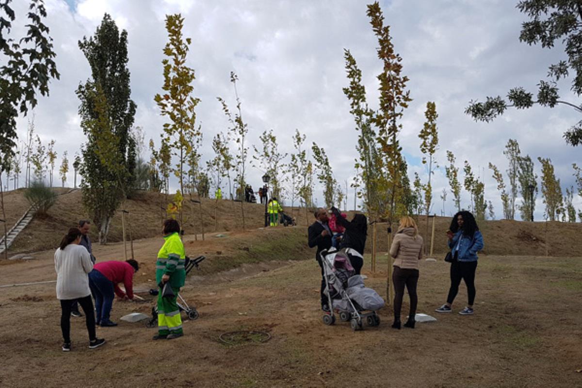 El Ayuntamiento de Arroyomolinos, planta 381 árboles por cada niño nacido y empadronado en el 2017