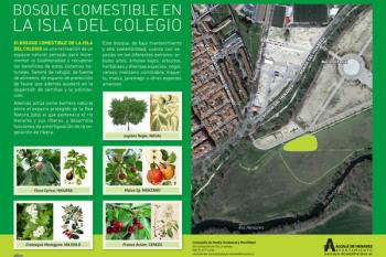Naturalización y soluciones basadas en la naturaleza del Proyecto Europeo Nature 4 Cities