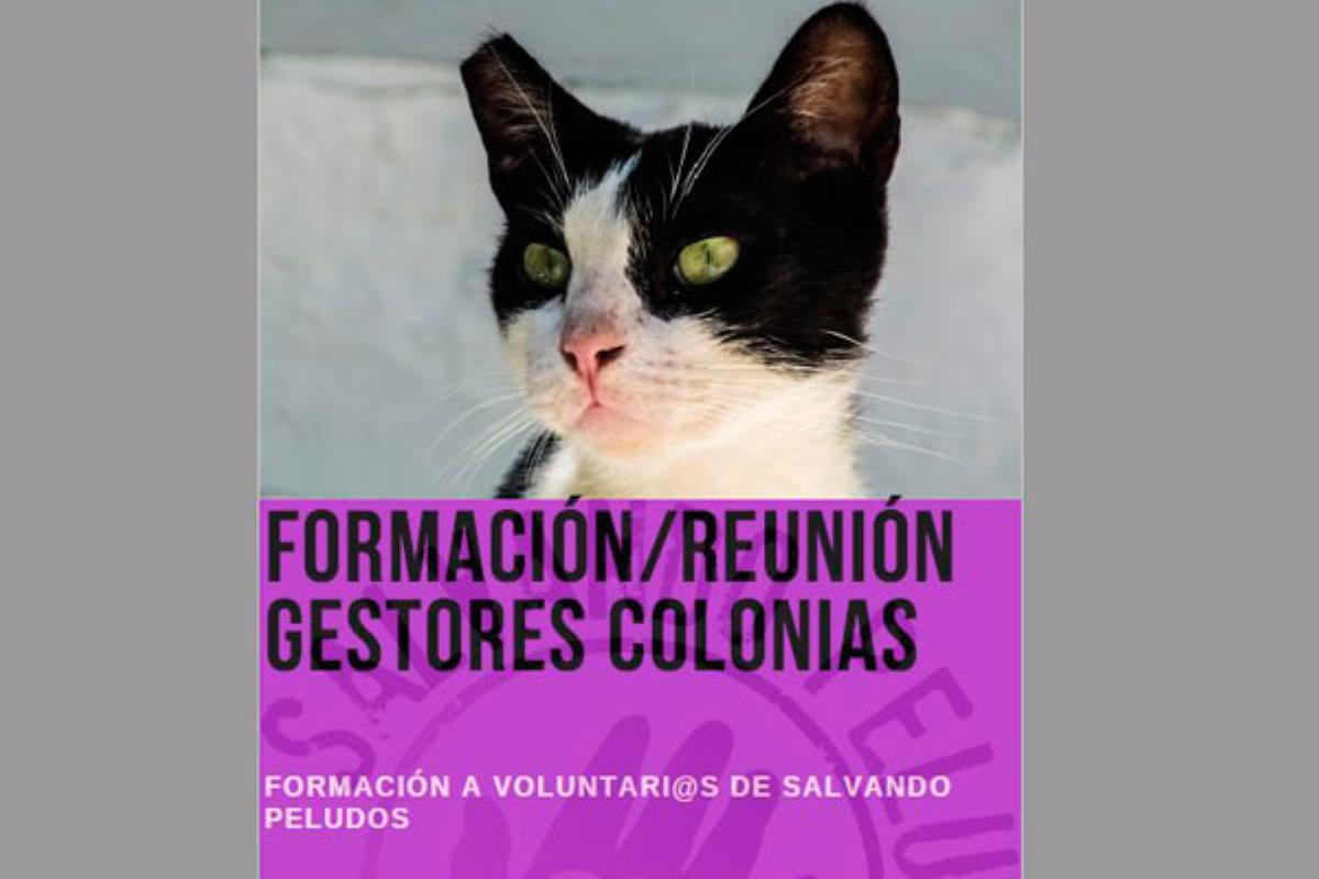 Una metodología basada en el sistema CER de captura, esterilización y retorno al medio