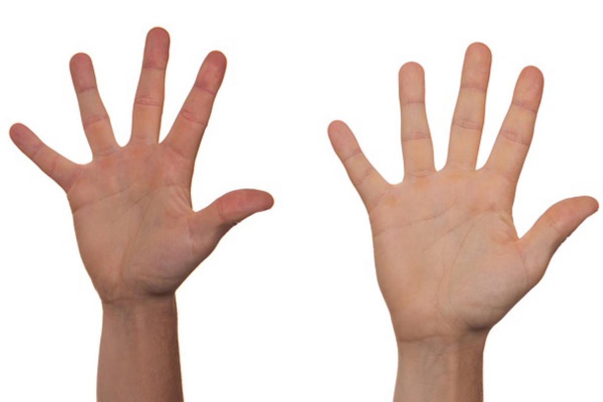 Dos investigadores de la USAL han desarrollado este proyecto