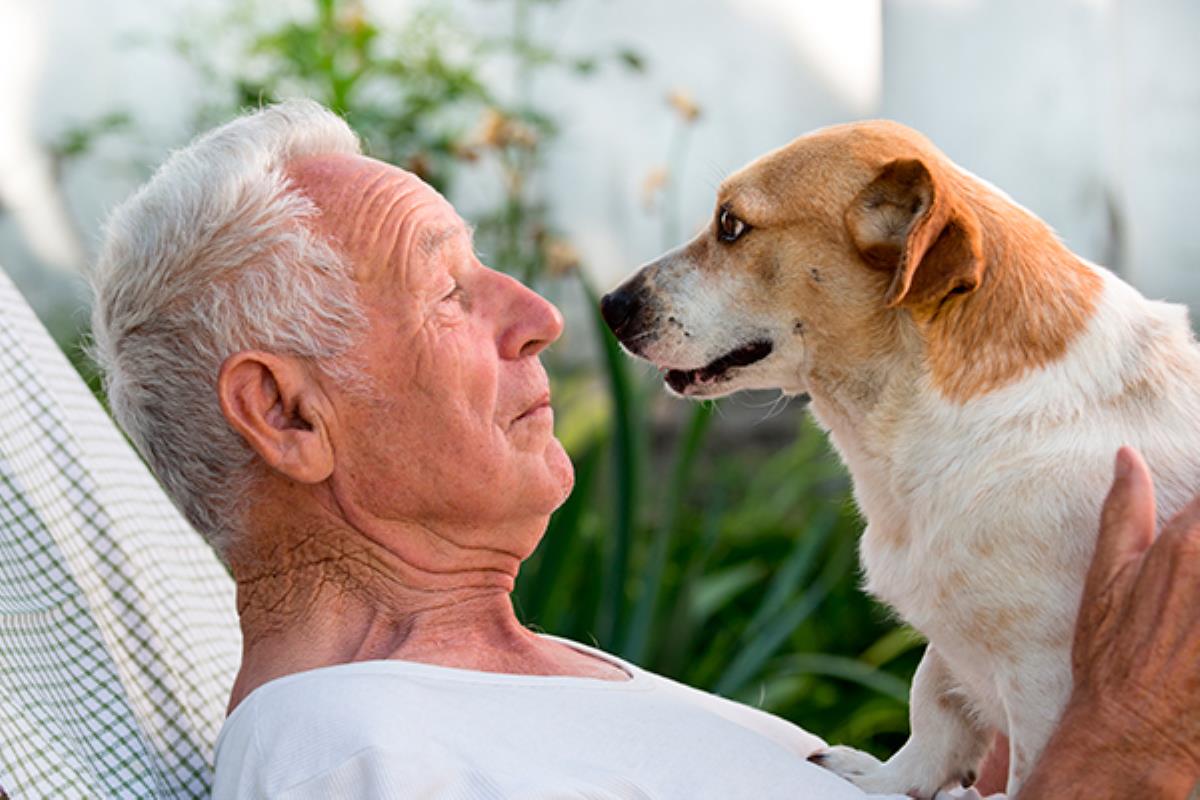 Se trata de un completo programa de Terapia Asistida con Animales a modo de sesiones adaptadas