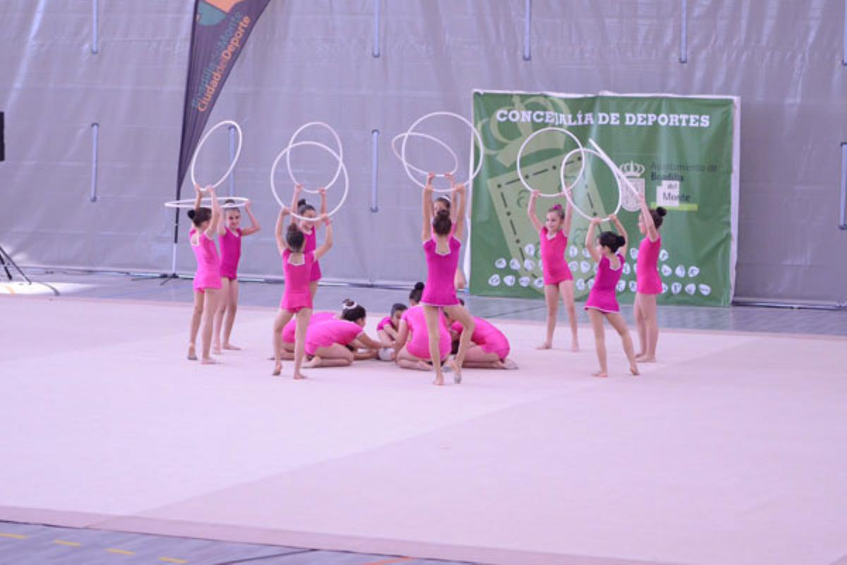 Se desarrolló en el Polideportivo Rey Felipe VI y contó con la participación de más de 420 gimnastas