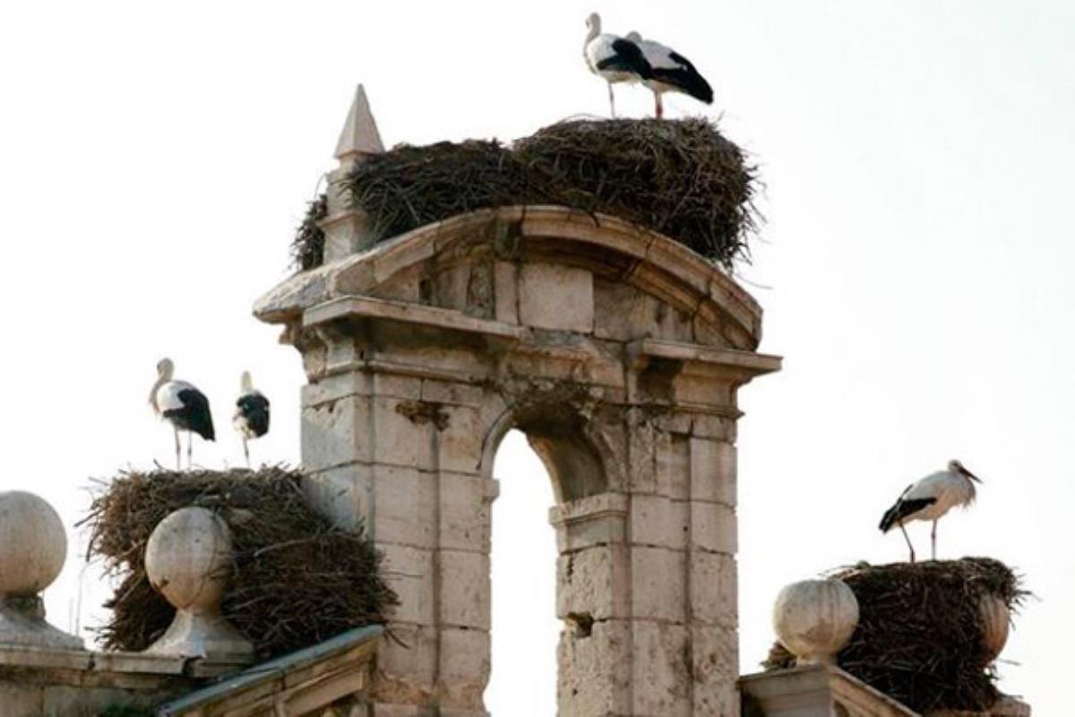 El ganador conseguirá una noche de alojamiento en uno de los Paradores de las Ciudades Patrimonio